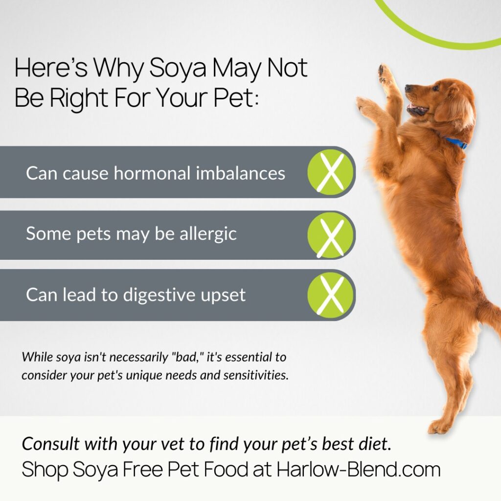 Why Soy May Not Be the Best Choice for Your Pet’s Diet.