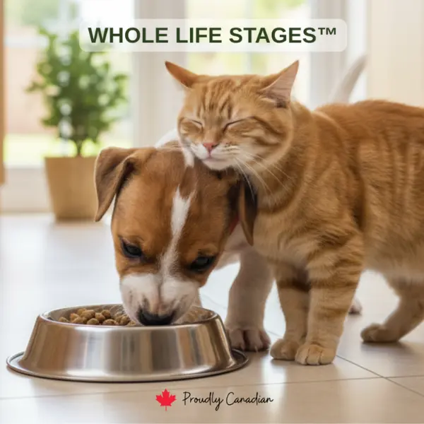 harlowblend smarter pet food starts here dog and cat image