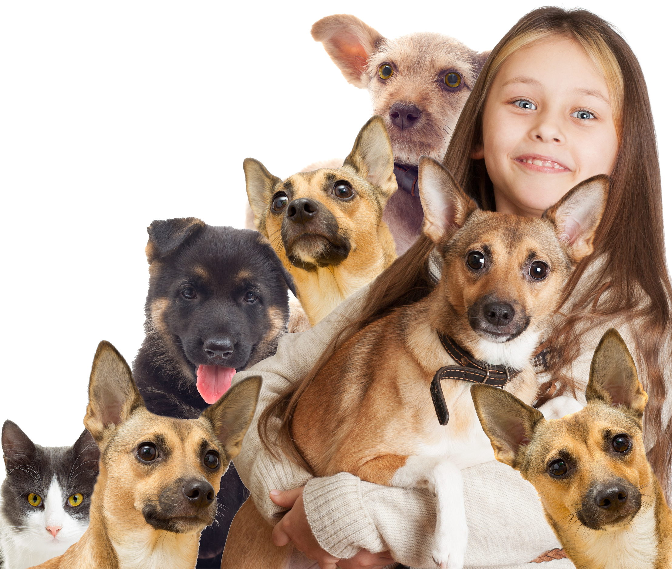 Join the Pack