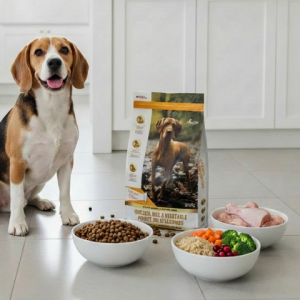 cropped harlowblend product category dry dog food flexible feeding approach image 1